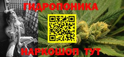 прущие крисы Кингисепп