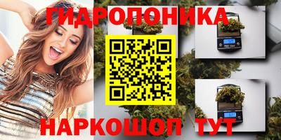 прущие крисы Кингисепп