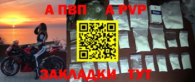 прущие крисы Кингисепп